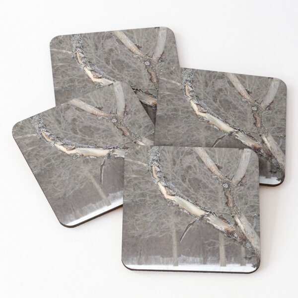 Item preview, winter trees designed and sold by cuisinecat2.