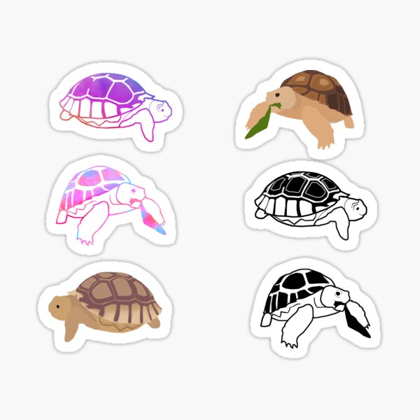 Complete Set of Buddy and Manja Tortoise Sticker
