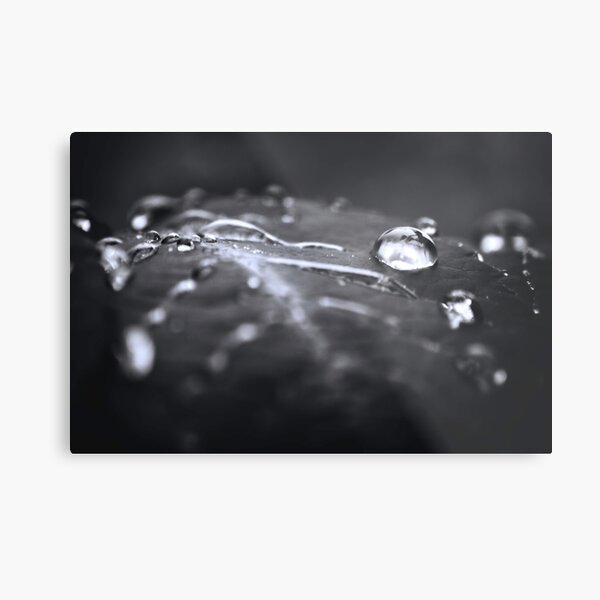 Monday Morning Metal Print