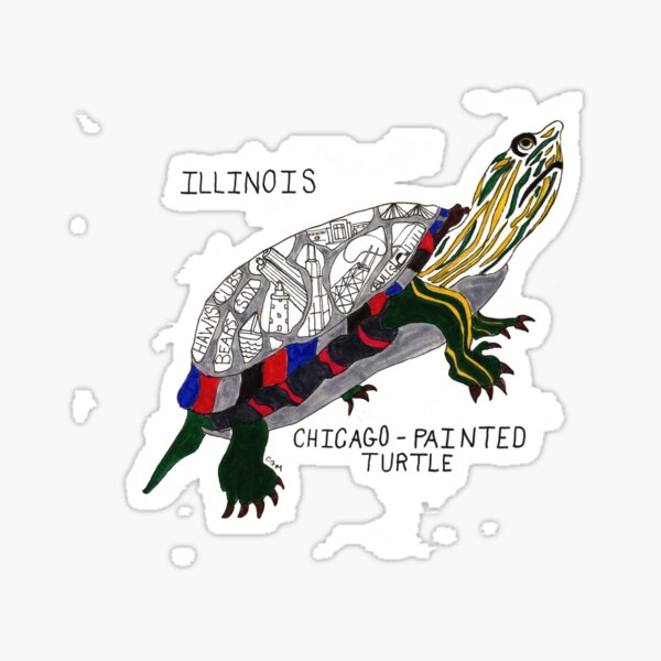 Illinois - Painted Turtle - Chicago - State Symbols Sticker