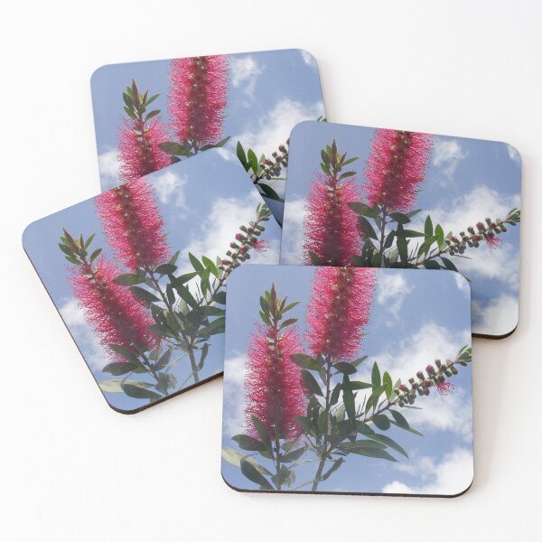 Item preview, Callistemon designed and sold by Ellanita.