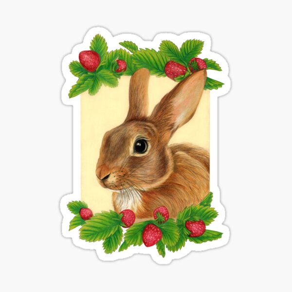 Rabbit with Strawberries by Artist Sherrie Spencer Sticker