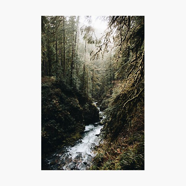Item preview, forest river designed and sold by bellehibou.