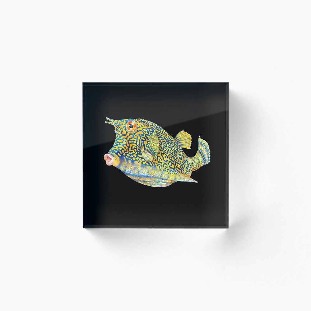 Item preview, Acrylic Block designed and sold by TimJeffsArt.