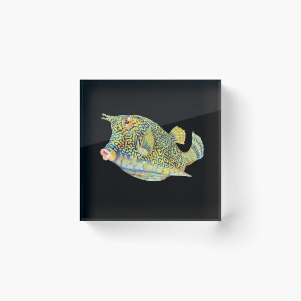 Item preview, Cowfish designed and sold by TimJeffsArt.