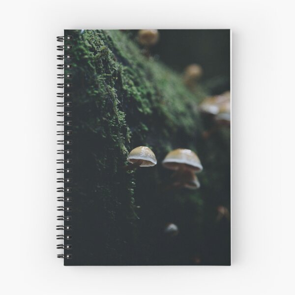 Item preview, forage designed and sold by bellehibou.