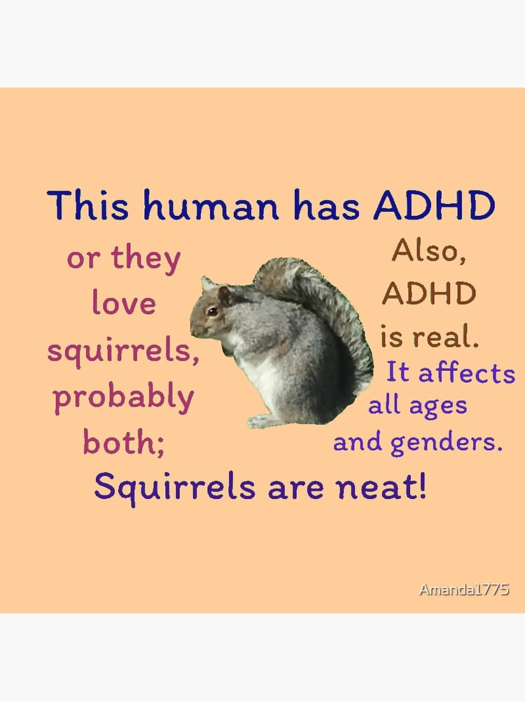 add vs adhd squirrel
