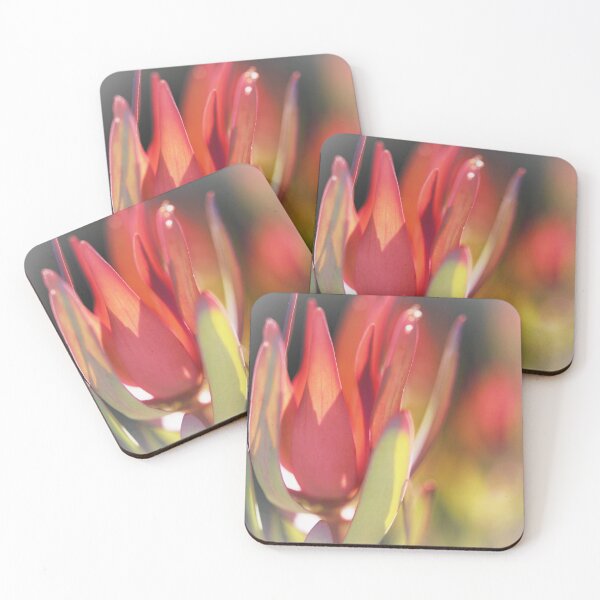 Item preview, Shadows at Dusk - Leucadendron  designed and sold by imaginethis.