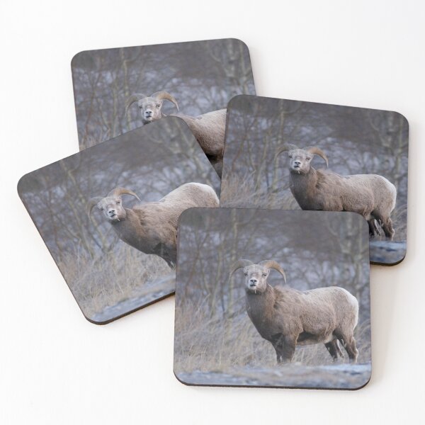 Item preview, Rutting Ram designed and sold by StevenElliot.
