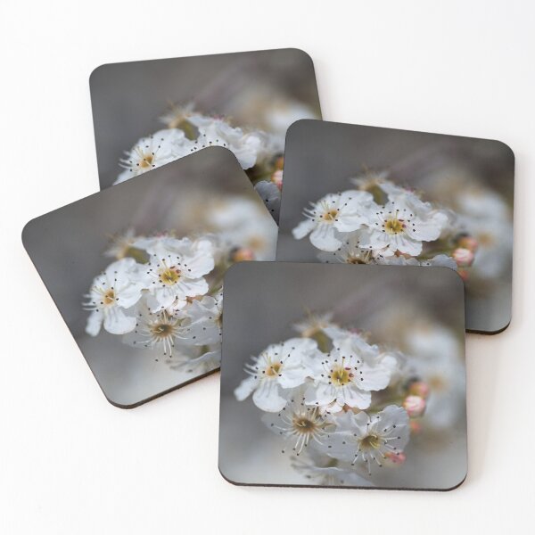 Item preview, Spring In White Blossom designed and sold by Joy Watson - Natural Light Photography .
