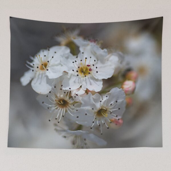 Item preview, Spring In White Blossom designed and sold by Joy Watson - Natural Light Photography .