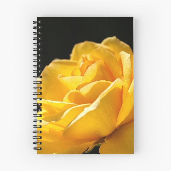 Item preview, Golden Rose designed and sold by Joy Watson - Natural Light Photography .