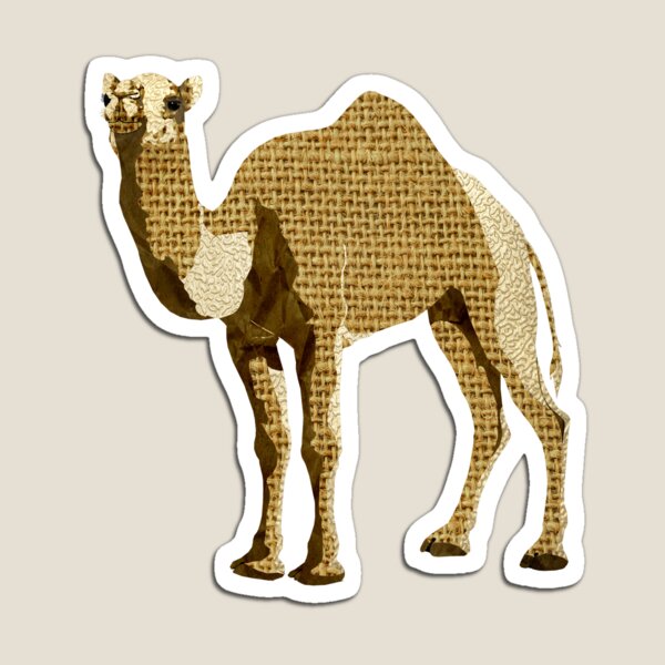 Camel - Laudea Martin Magnet