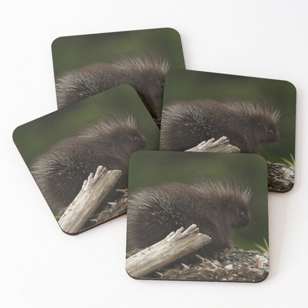 Item preview, Baby Porcupine designed and sold by StevenElliot.