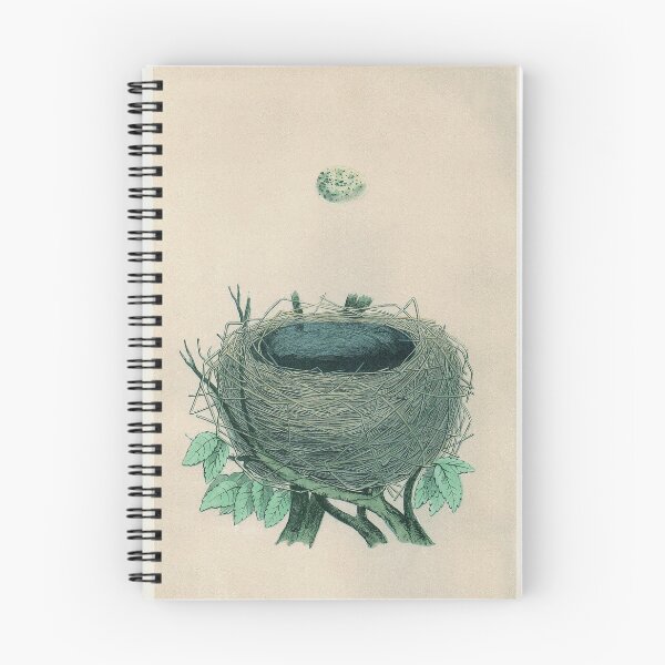 Item preview, Antique Bird Egg and Nest Print  designed and sold by FuzzyHoney.