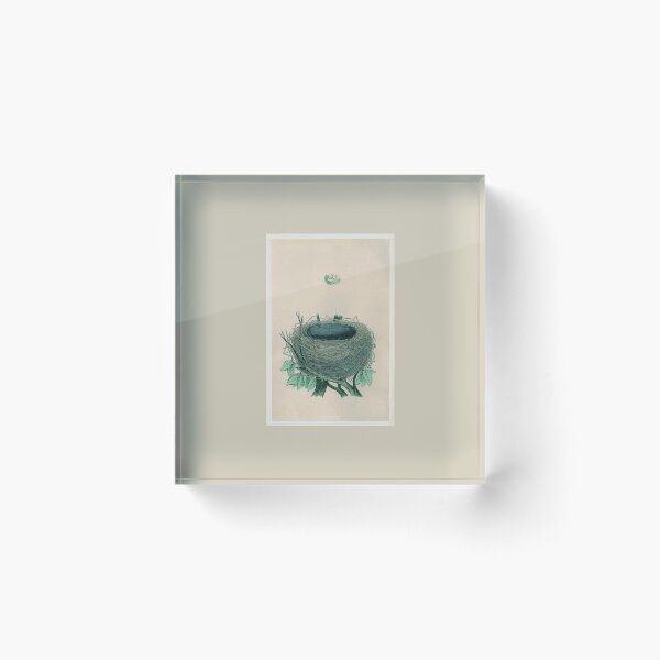 Item preview, Antique Bird Egg and Nest Print  designed and sold by FuzzyHoney.