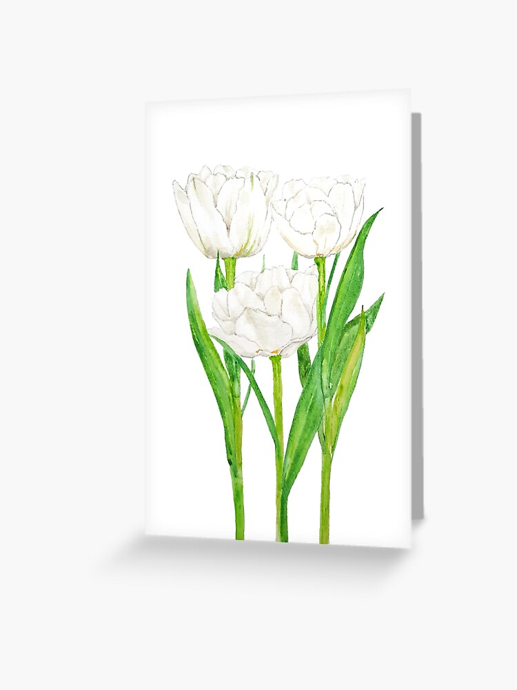 Tarjetas de felicitación «Acuarela de 3 tulipanes blancos» de ColorandColor  | Redbubble