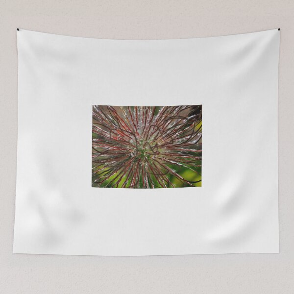Item preview, Clematis Seed Head Close Up. designed and sold by Rob-Turner.