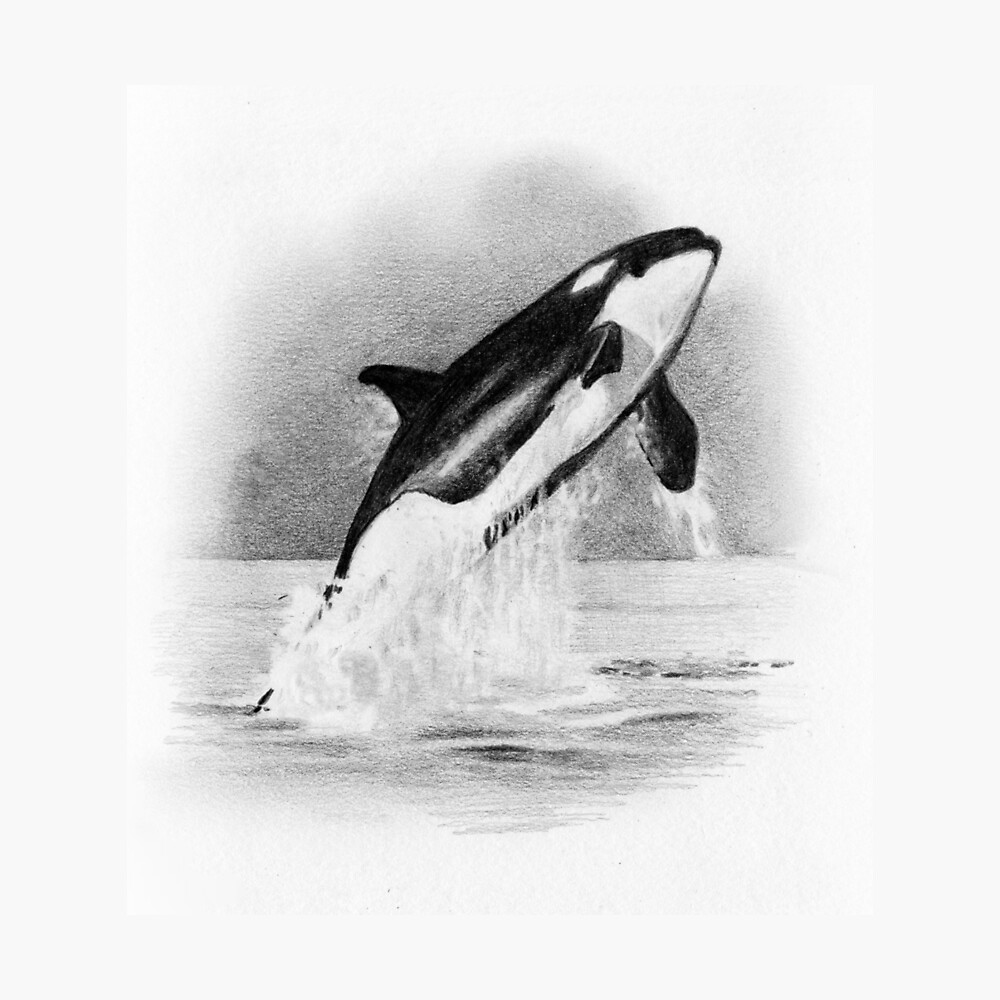 Cartoon illustration orca whale waves all around on Craiyon