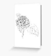 Hydrangea Blossom Greeting Card
