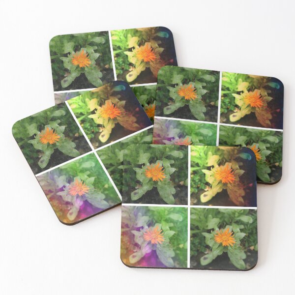 Item preview, Flower Collection  designed and sold by Hazel Meades.