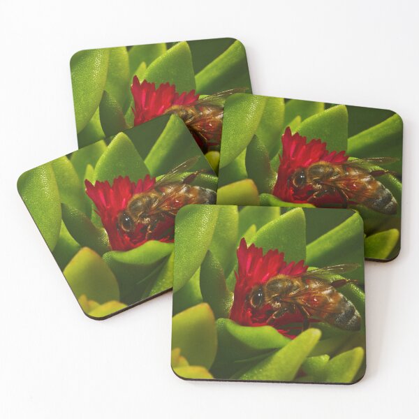 Item preview, A Bee Bee In A Red Succulent Flower Bees designed and sold by Jason Gilbert.