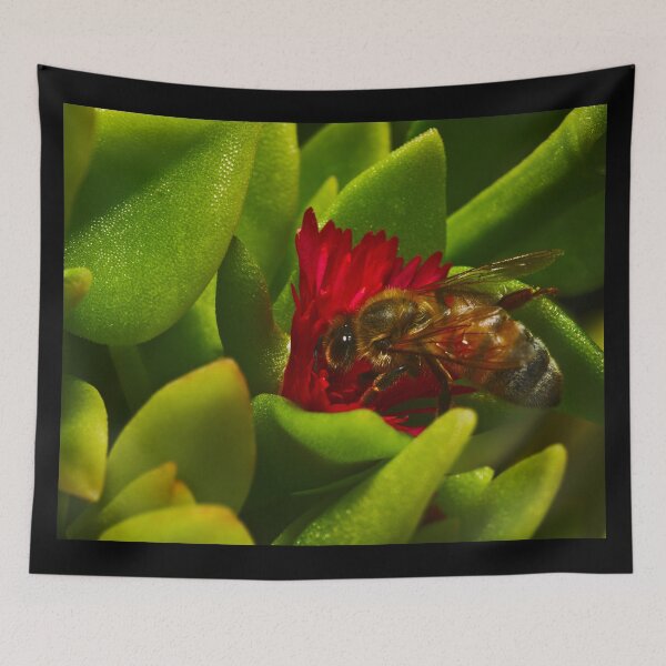 Item preview, A Bee Bee In A Red Succulent Flower Bees designed and sold by Jason Gilbert.