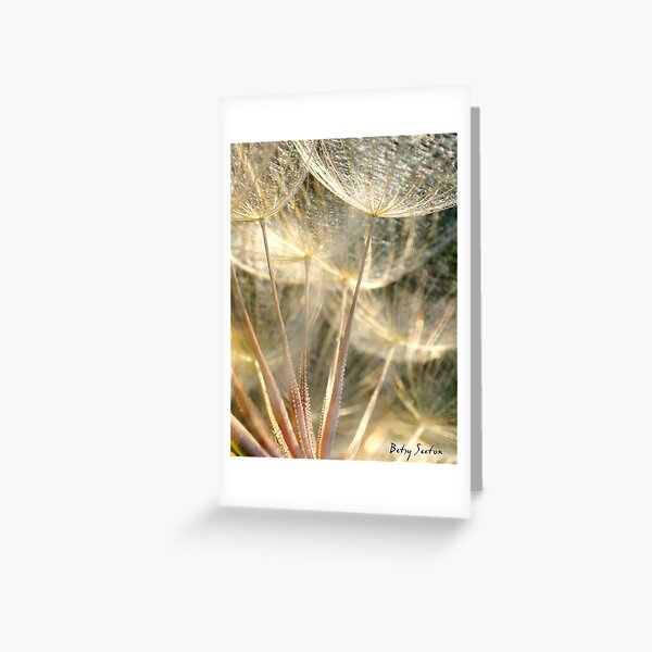 GONE TO SEED Greeting Card