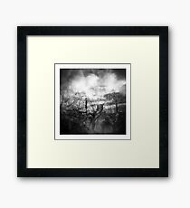 Untitled Framed Print