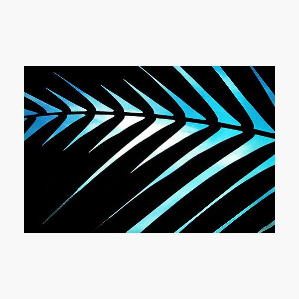 Tropical View Photographic Print