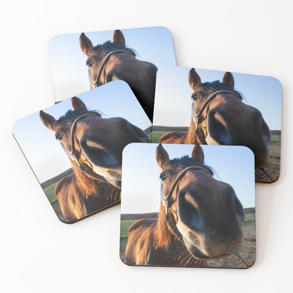 Item preview, A man's best friend is his Horse designed and sold by Kezzles.