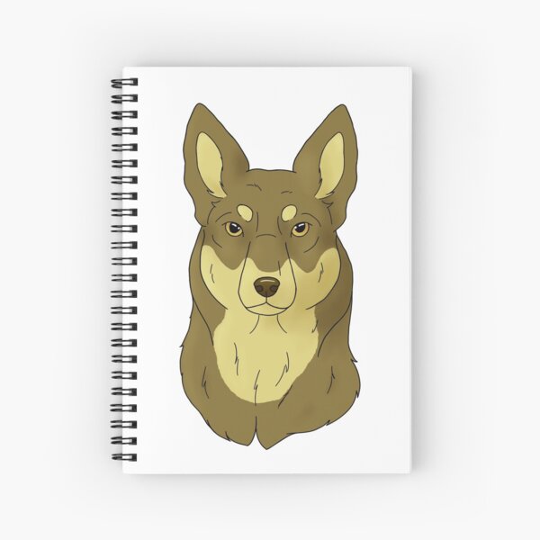 Chocolate heeler outlet for sale