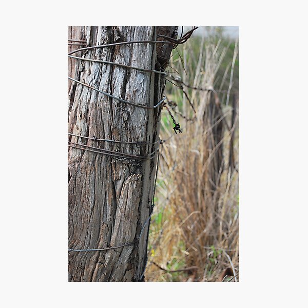 Item preview, Lonely Post designed and sold by reney03.