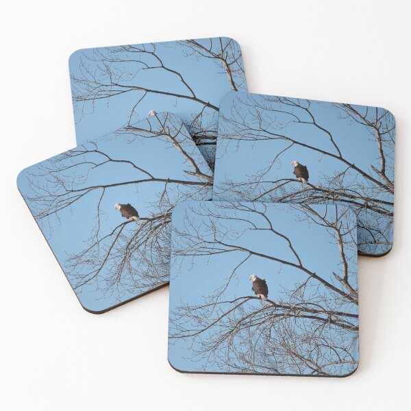 Item preview, Bald Eagle designed and sold by Susie Kramer.