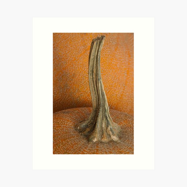 Item preview, Solitude designed and sold by Marilyn Cornwell.