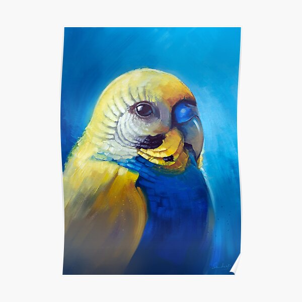 Budgie Poster