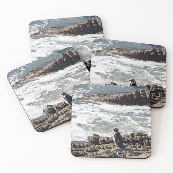 Item preview, African Penguin at Boulders Beach, Cape Town, South Africa designed and sold by worldways.