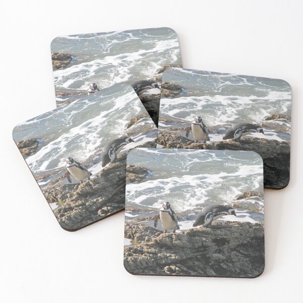 Item preview, African Penguins at Boulders Beach, Cape Town, South Africa designed and sold by worldways.