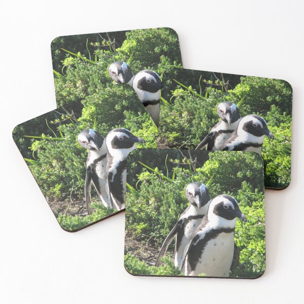 Item preview, Two African Penguins Strolling Boulders Beach, Cape Town, South Africa designed and sold by worldways.
