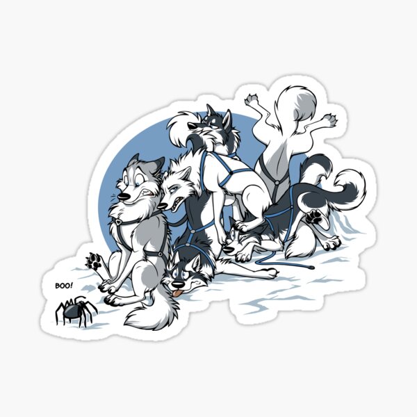 Why there are no Spiders in Alaska Sticker