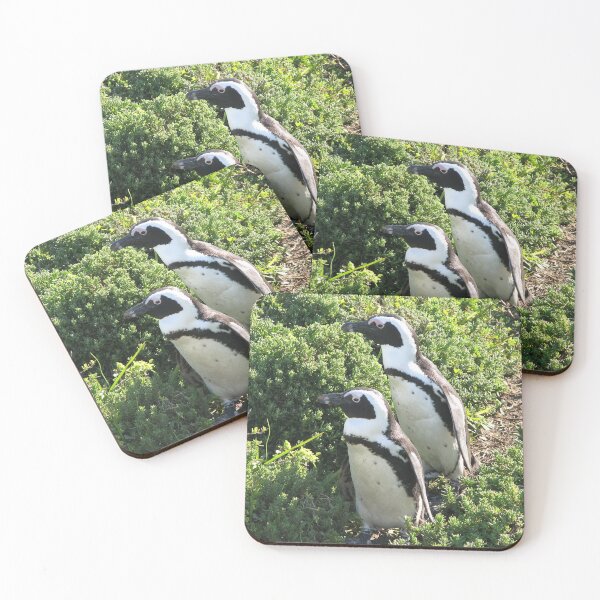 Item preview, Two African Penguins  Hiking Boulders Beach, Cape Town, South Africa designed and sold by worldways.