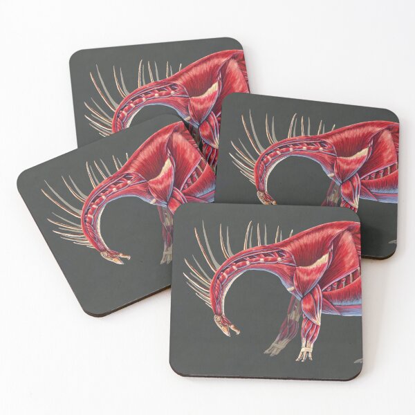 Item preview, Amargasaurus Muscle Study (No Labels) designed and sold by Thedragonofdoom.