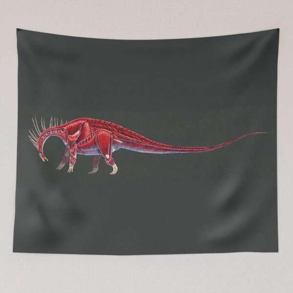 Item preview, Amargasaurus Muscle Study (No Labels) designed and sold by Thedragonofdoom.