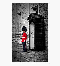 On Guard Photographic Print