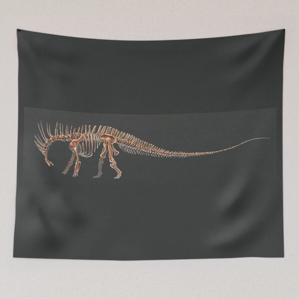 Item preview, Amargasaurus Skeletal Study (No Labels) designed and sold by Thedragonofdoom.