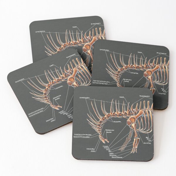 Item preview, Amargasaurus Skeletal Study designed and sold by Thedragonofdoom.