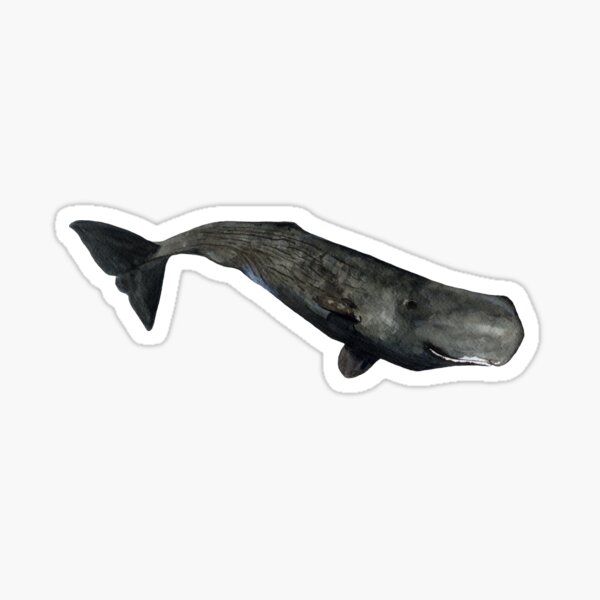 SPERM WHALE Sticker