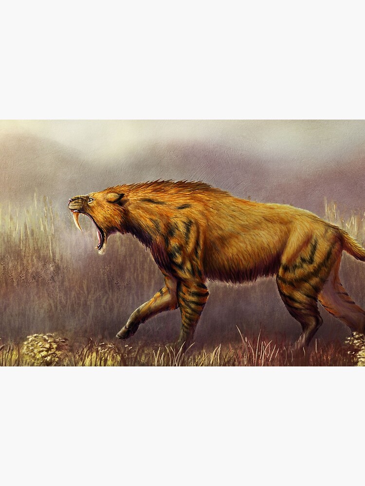 Smilodon - Stock Image - C004/8069 - Science Photo Library