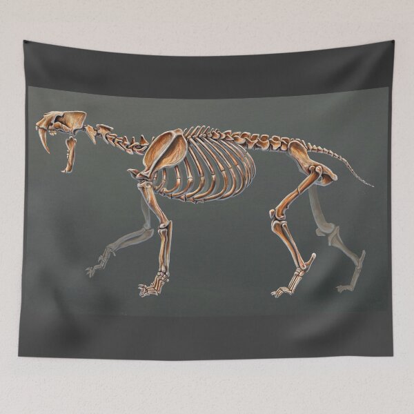 Item preview, Smilodon Populator Skeletal Study No Labels designed and sold by Thedragonofdoom.