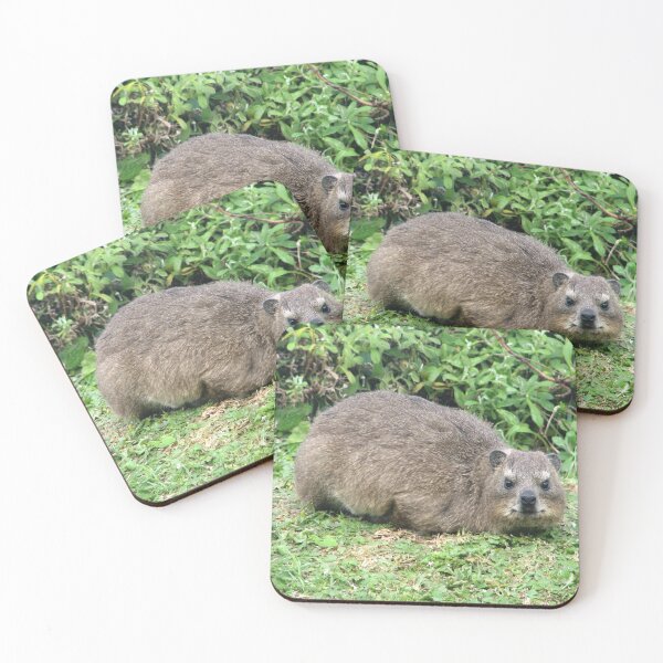 Artikelvorschau, Südafrika
#dassie #hyrax #tier #rockhyrax #tablemountain #southafrica #homedecor #artprints #printsforsale #findyourthing #wildlifephotography #wildlife #photography #naturephotography entworfen und verkauft von worldways.